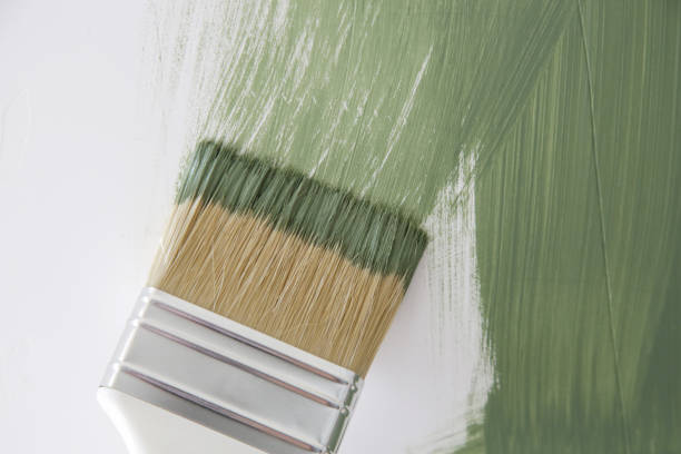 Best Environmental Consulting for Mold Prevention  in Crewe, VA