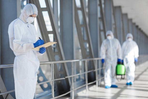 Reliable Crewe, VA Mold Removal Solutions