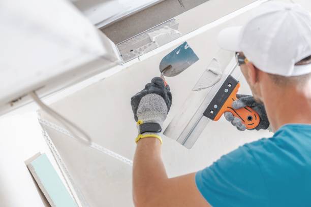 Best Crawl Space Mold Remediation  in Crewe, VA